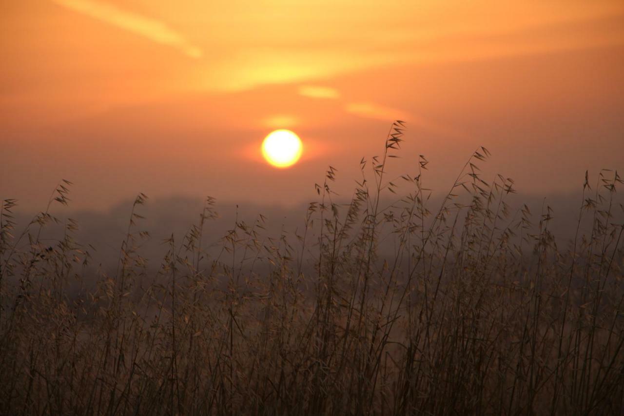 Monte Da Azarujinha Βίλα Azaruja Εξωτερικό φωτογραφία